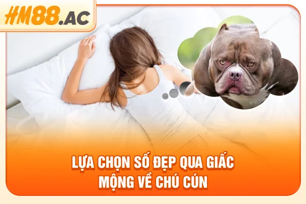 Lựa chọn số đẹp qua giấc mộng về chú cún