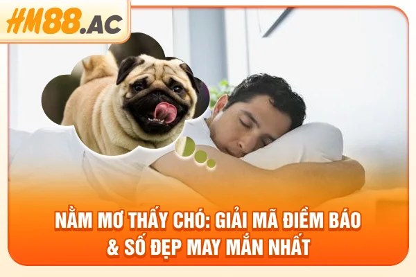 Nằm Mơ Thấy Chó: Giải Mã Điềm Báo & Số Đẹp May Mắn Nhất