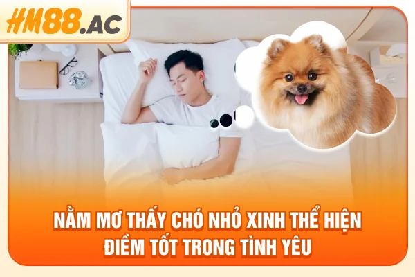 Nằm mơ thấy chó nhỏ xinh thể hiện điềm tốt trong tình yêu