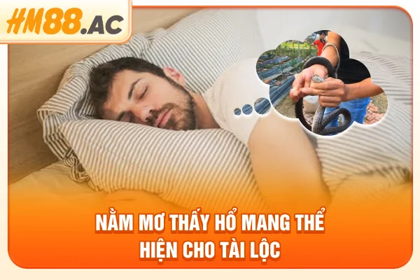 Nằm mơ thấy hổ mang thể hiện cho tài lộc