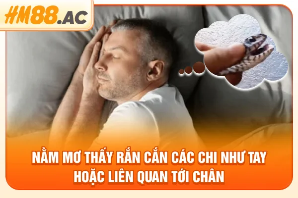 Nằm mơ thấy rắn cắn các chi như tay hoặc liên quan tới chân