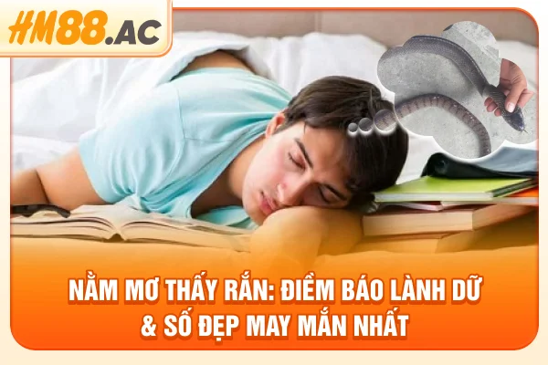 Nằm Mơ Thấy Rắn: Điềm Báo Lành Dữ & Số Đẹp May Mắn Nhất