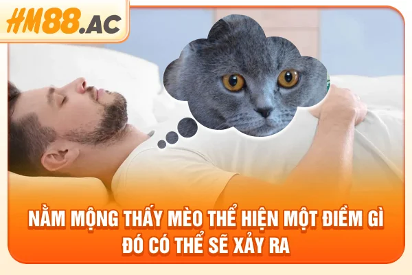 Nằm mộng thấy mèo thể hiện một điềm gì đó có thể sẽ xảy ra